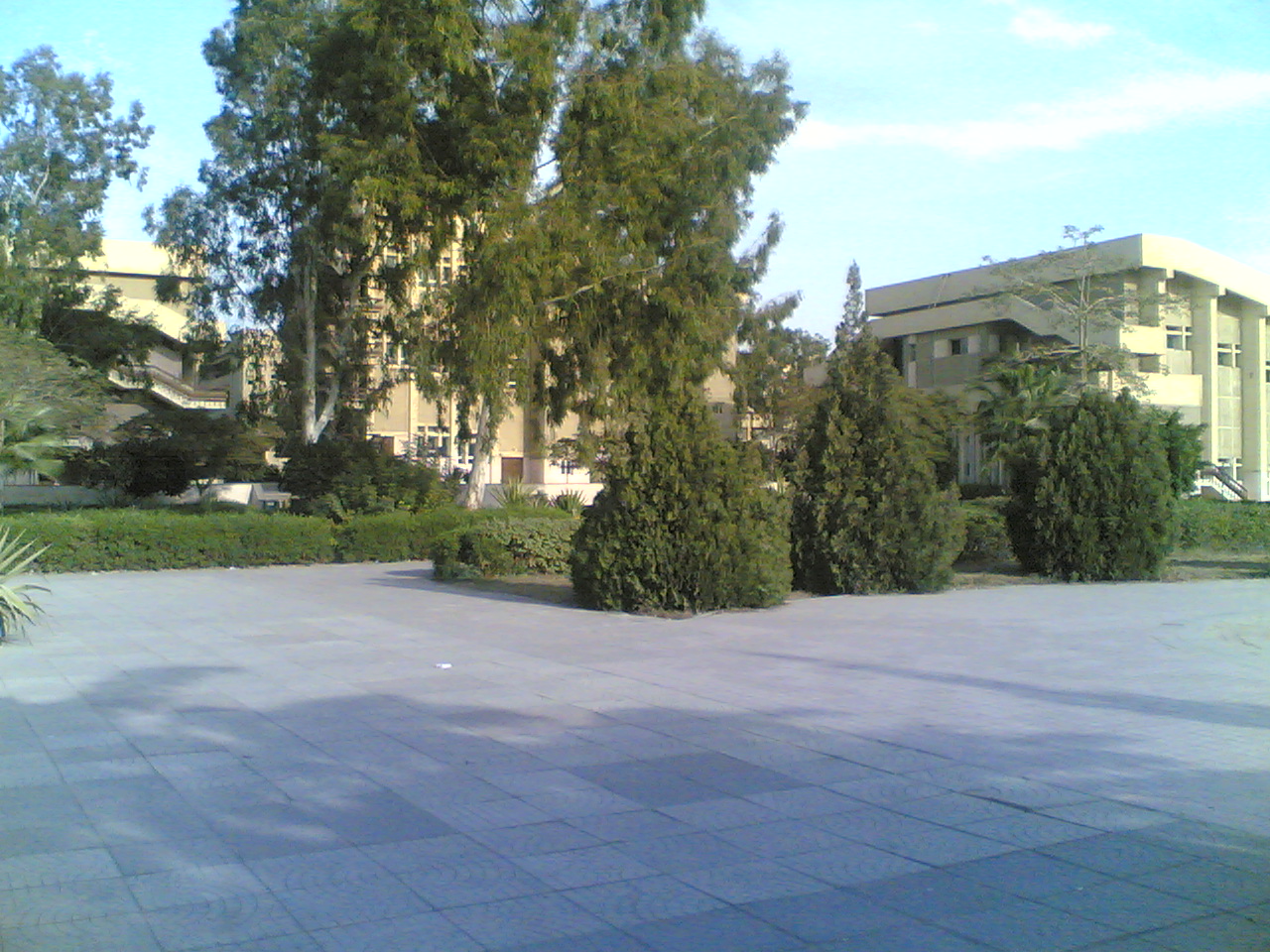 07012009(015).jpg