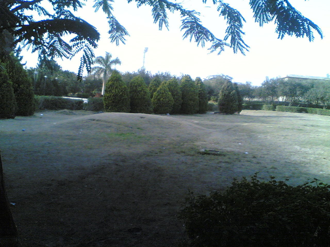 07012009(008).jpg