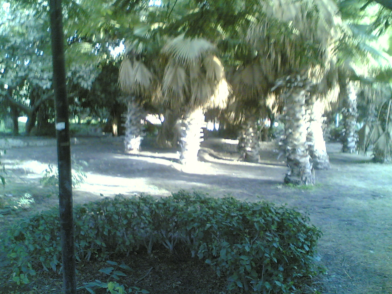 07012009(011).jpg