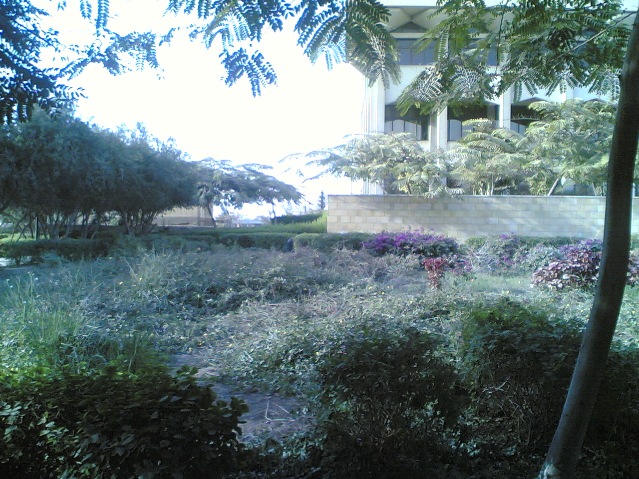 07012009(012).jpg