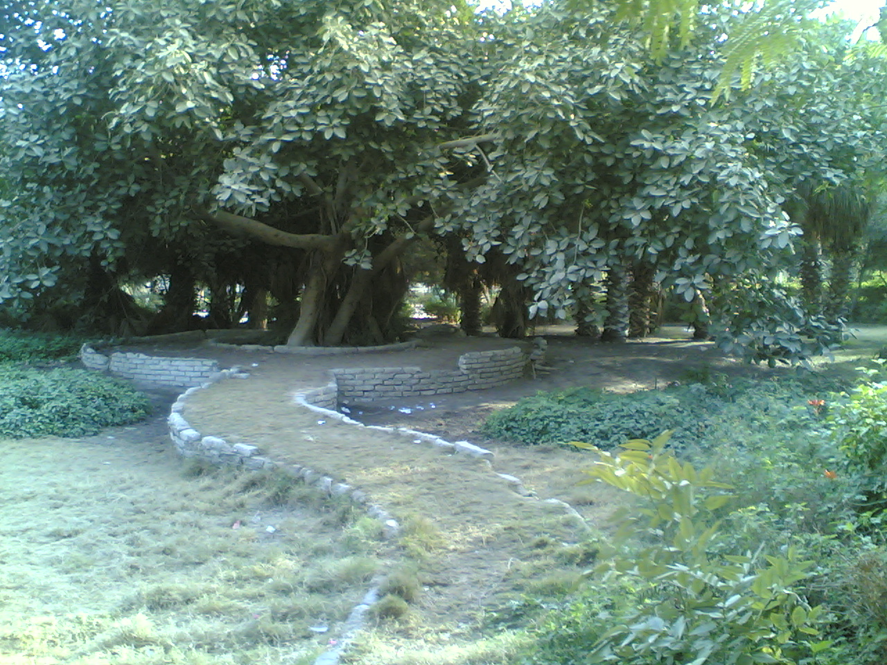 07012009(014).jpg