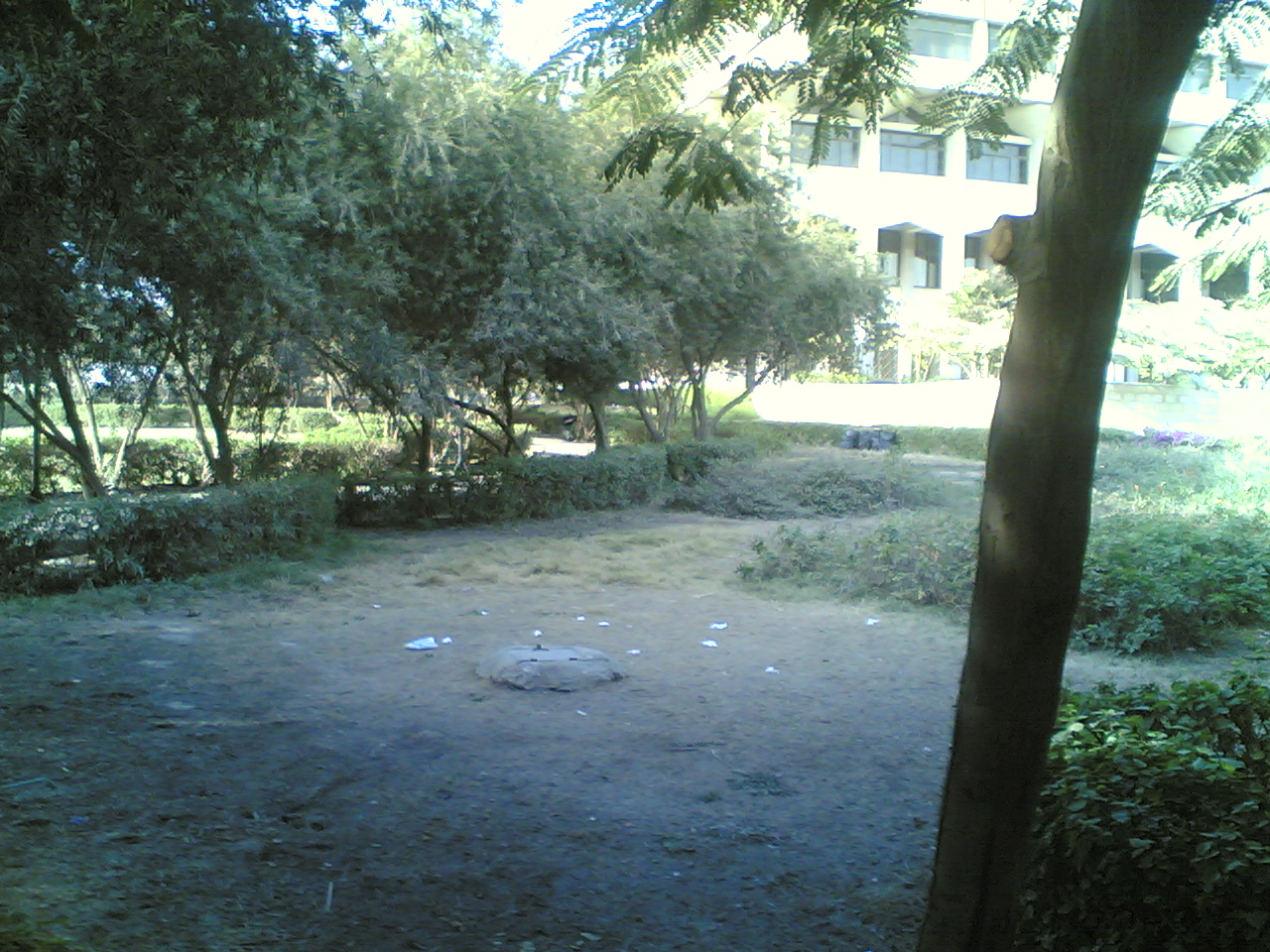 07012009(010).jpg