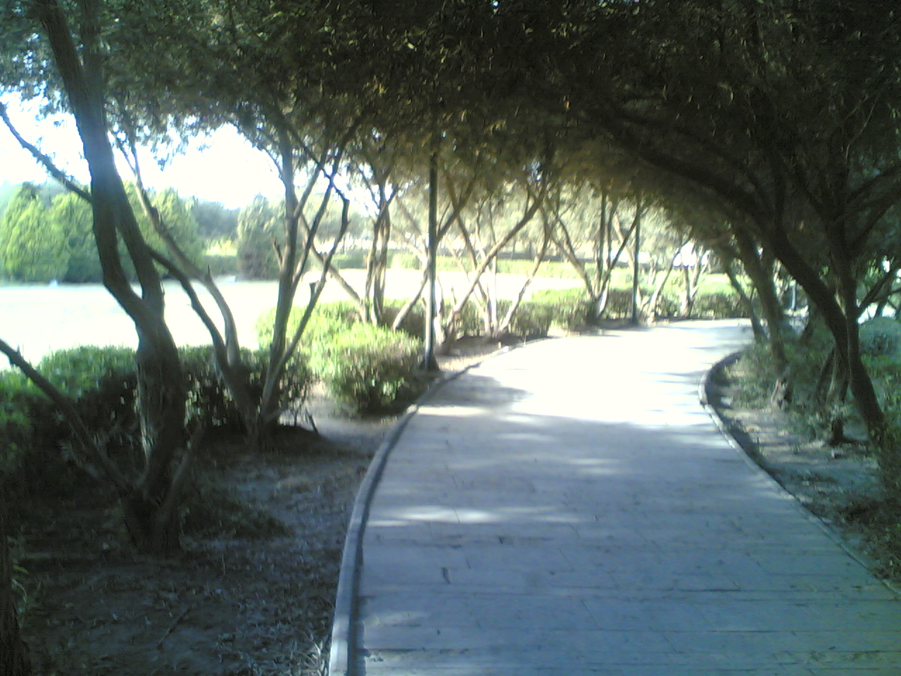 07012009(009).jpg