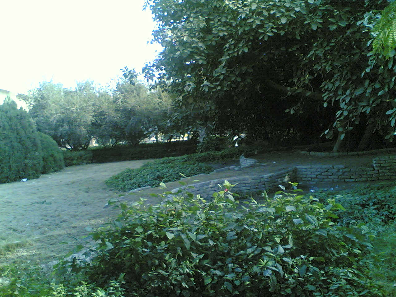 07012009(013).jpg