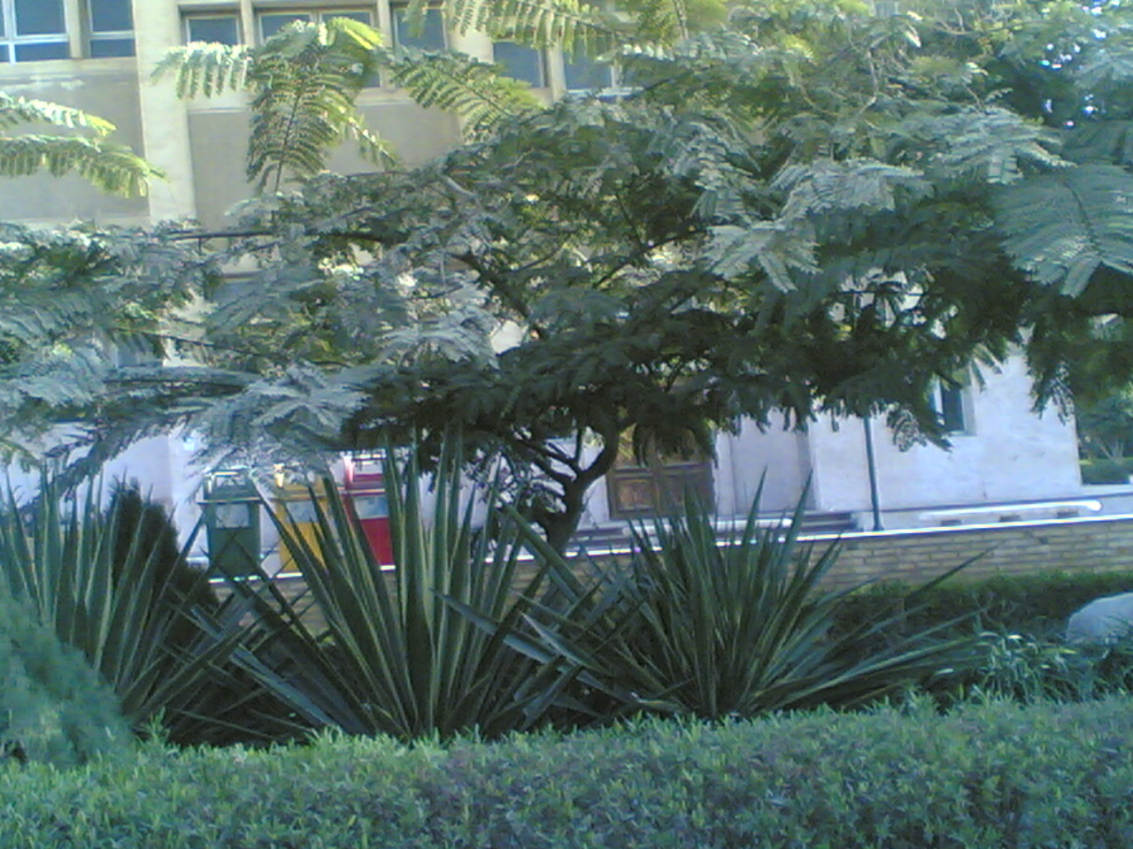 07012009(025).jpg