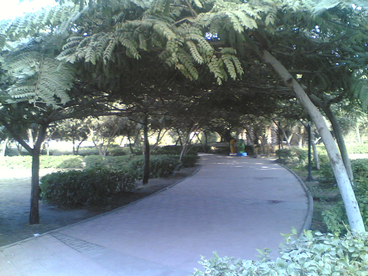 07012009(006).jpg